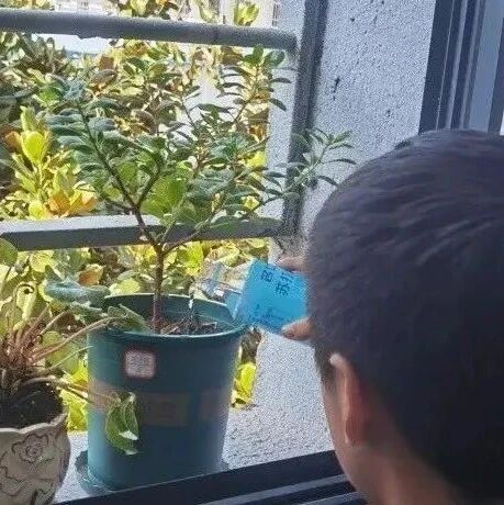 【青春语文·梁祥会专栏】等一朵花开