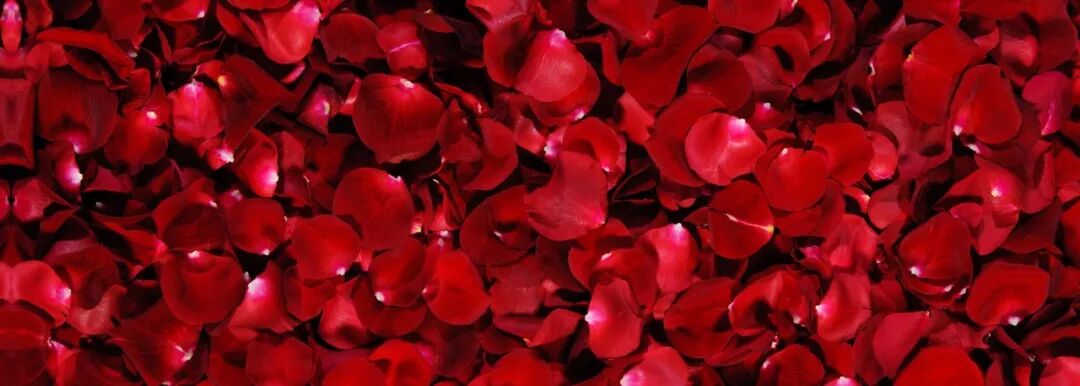 女人只有避免这四个问题，才能掌握爱情的主动权