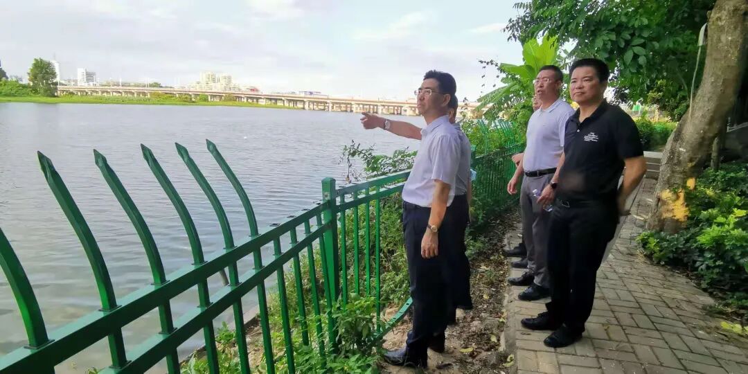 龙湖区第一总河长,区委书记蔡向鸿带队巡河