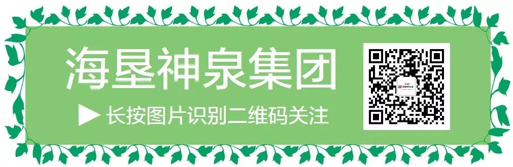 致富经养龟_致富经乌龟养殖场的视频_养乌龟致富