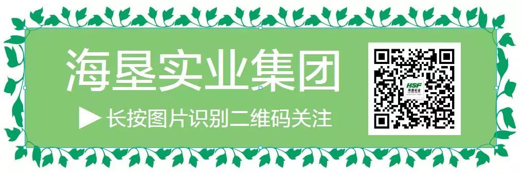 养乌龟致富_致富经乌龟养殖场的视频_致富经养龟