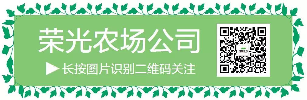 养乌龟致富_致富经养龟_致富经乌龟养殖场的视频