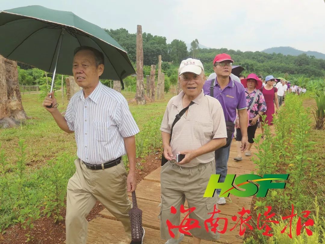 养乌龟致富_致富经养龟_致富经乌龟养殖场的视频