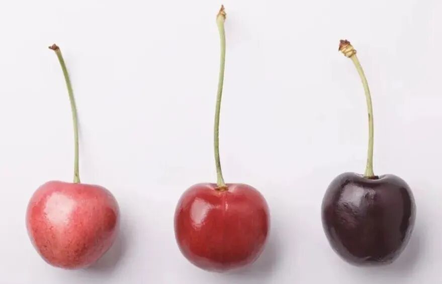 “秋冬顶流”“抢鲜”登场