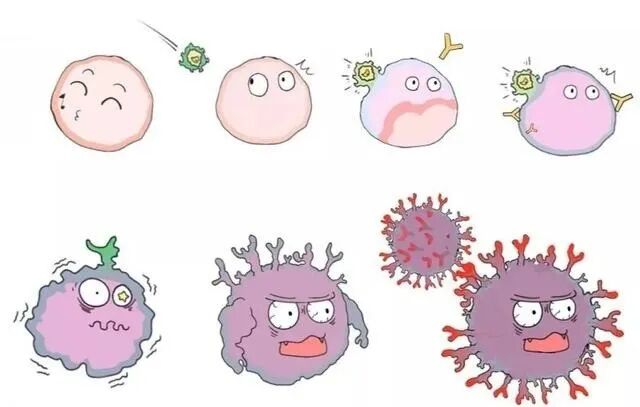 眼科ab超单怎么看执业医师手把手教你看懂乳腺B超单 附B超案例分析_https://www.jmylbn.com_新闻资讯_第1张