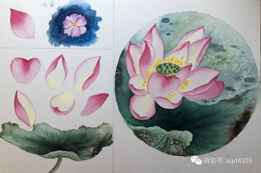 水彩画的基本技法 让我们重新开始学水彩 三 综合技法的熟练运用 古风荷花练习 上 零基础学绘画 微信公众号文章阅读 Wemp