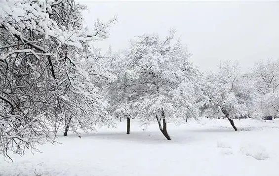 梦里梦到大雪_梦见大雪_我梦见大雪