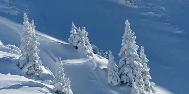 我梦见大雪_梦里梦到大雪_梦见大雪