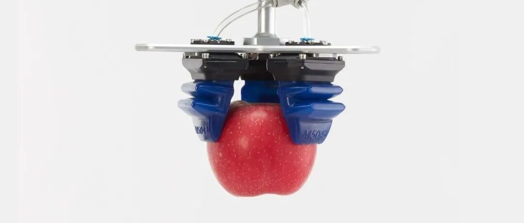 机器臂能够抓起生蛋黄液，标准超美国公司10倍，这家创新公司的确“有一手”