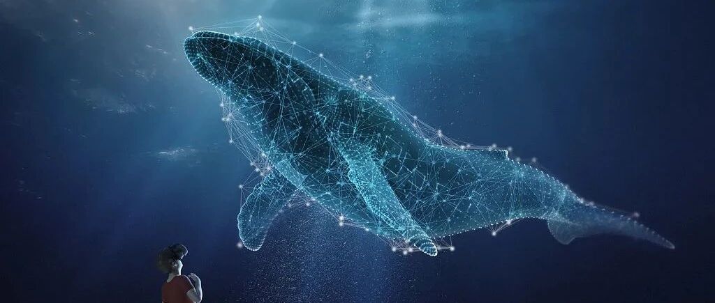 元宇宙：一场造梦预言