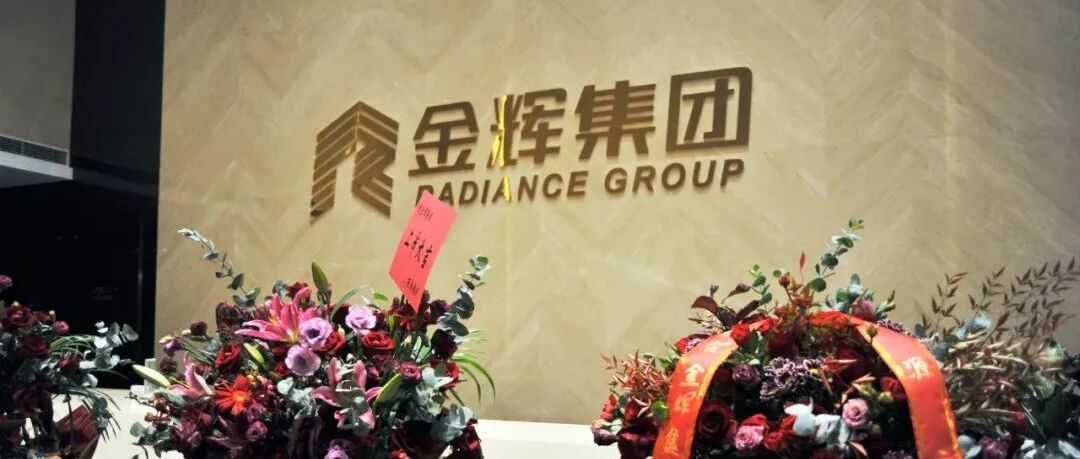 金辉控股七年“潜行”，一个家族企业的上市“嬗变”