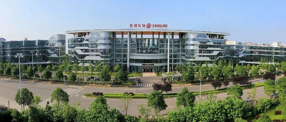 从濒临破产到营收增长超10倍、市值接近500亿，这家公司经历了什么