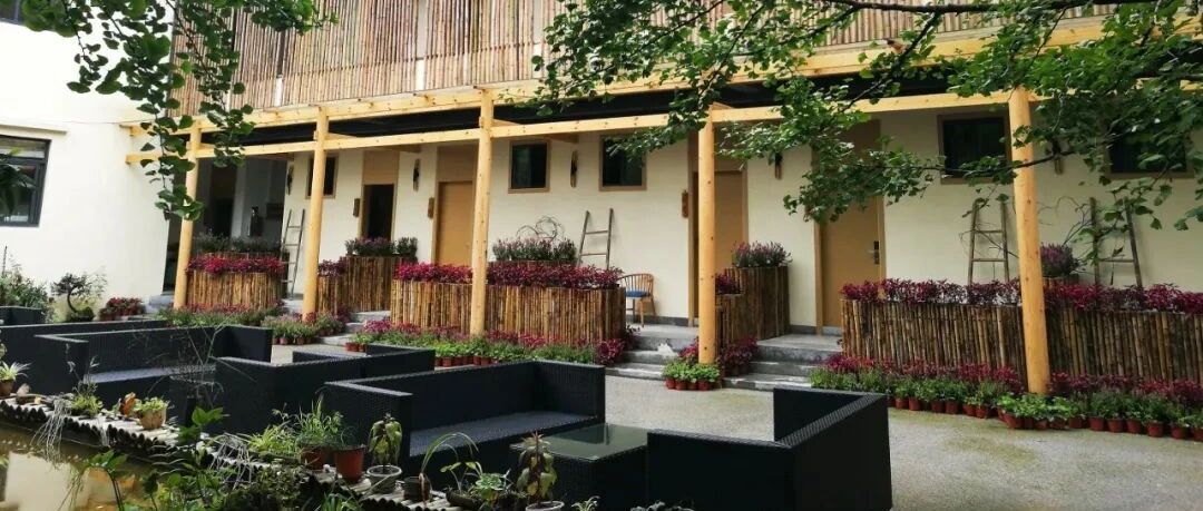 赔了两年后，这个春节，民宿终于赚到钱了