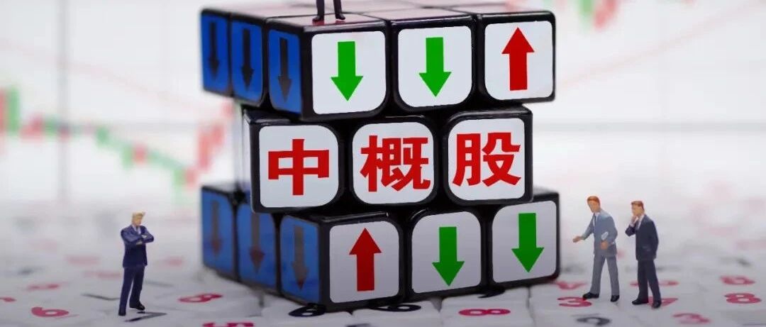 抄底中概股的人