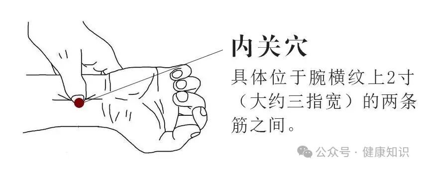 内关穴.jpg
