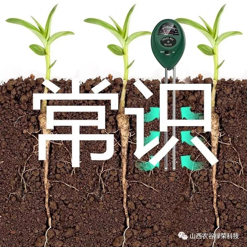 农谷绿荣 根深叶茂 树靠根长 根靠叶养 树怕伤根 与根有关的解释 山西农谷绿荣科技 微信公众号文章阅读 Wemp