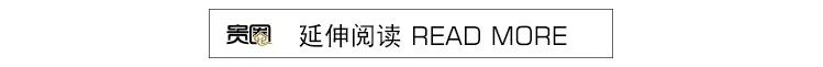 「网大一姐」的所有故事，都从椰汁女郎开始｜腾讯新闻贵圈