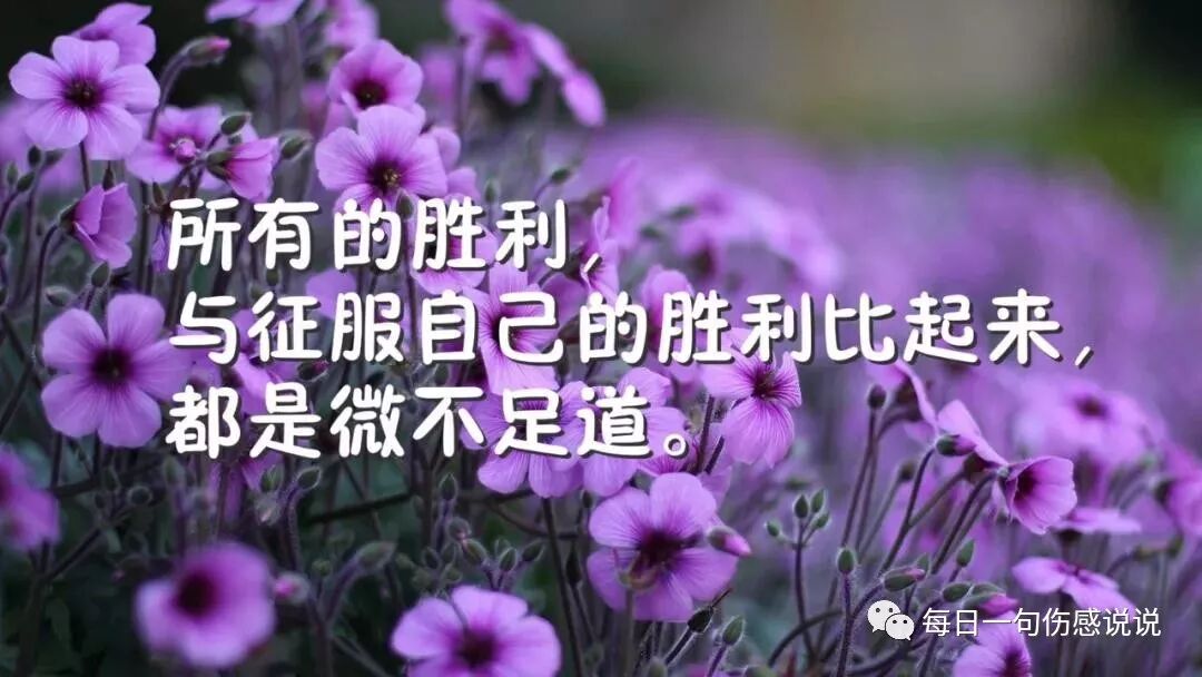表达内心纠结的句子难以抉择的经典好句子