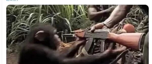 让你在电脑直接安装openclaw的，不是蠢就是坏