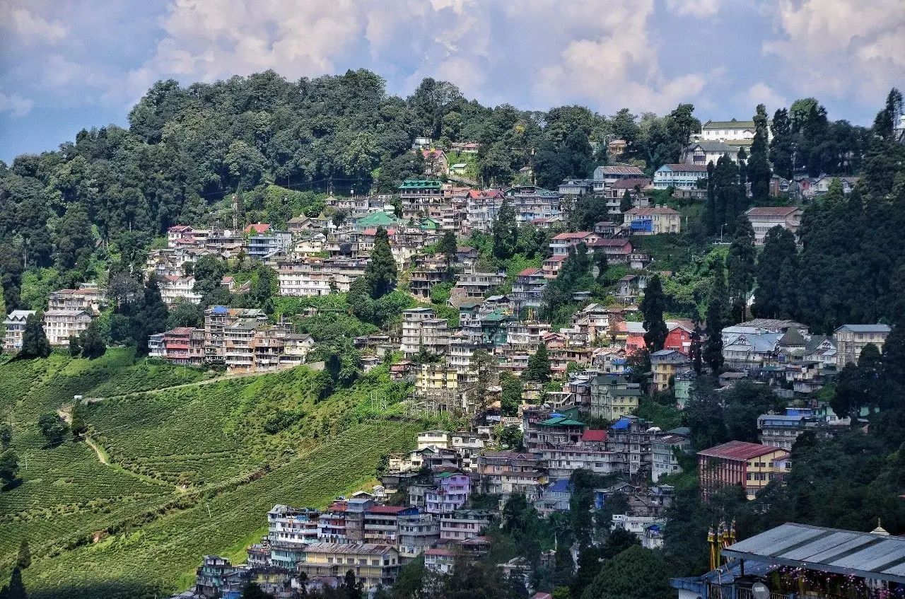 印度│众神都在这里狂欢(大吉岭)