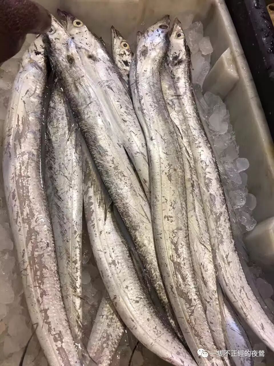 一条带鱼,两条带鱼,三条带鱼,回家倒计时,福州水产冷藏销售组