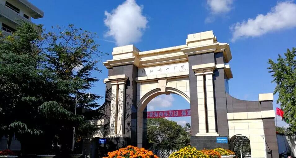 豪华阵容顶级名师绵阳南山中学2017年度新晋正高级特级教师展播