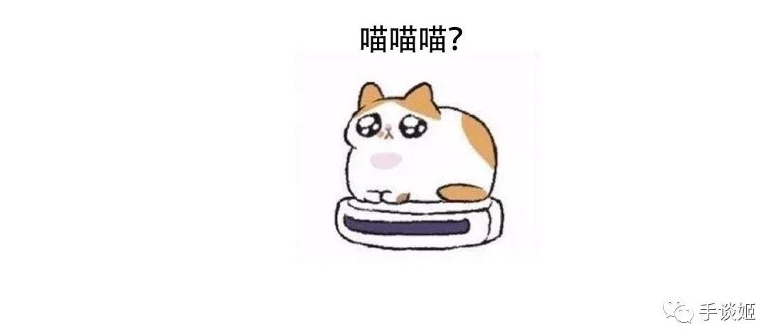 今天是国际爱猫日，我准备了一筐猫咪游戏……