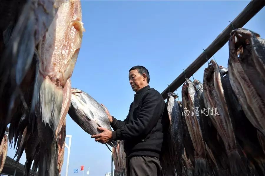 闻着鱼干的清香,走进"中国渔都"菱湖