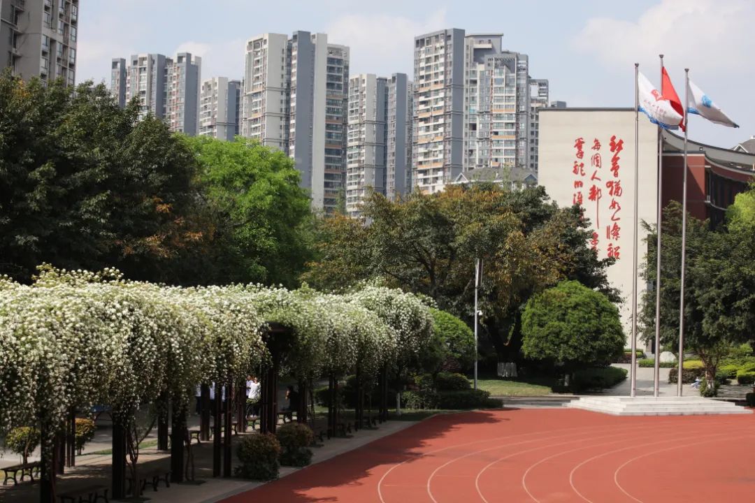 2.JPG 图片