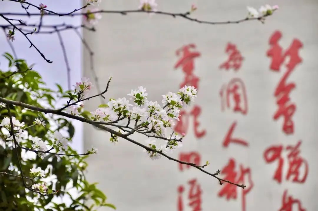 1.JPG 图片