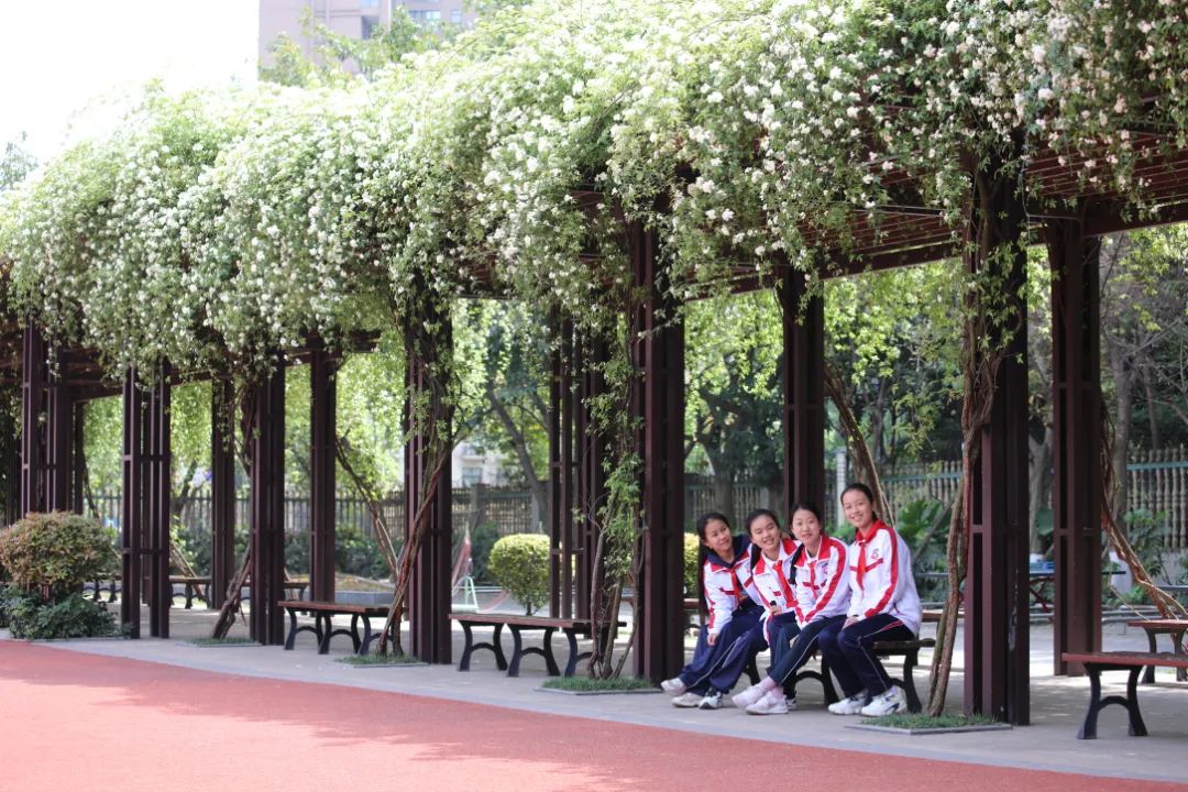 4.JPG 图片