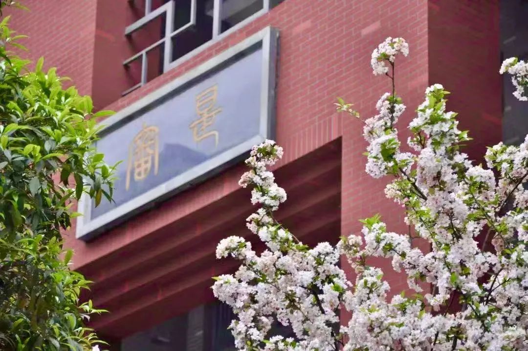 2.JPG 图片