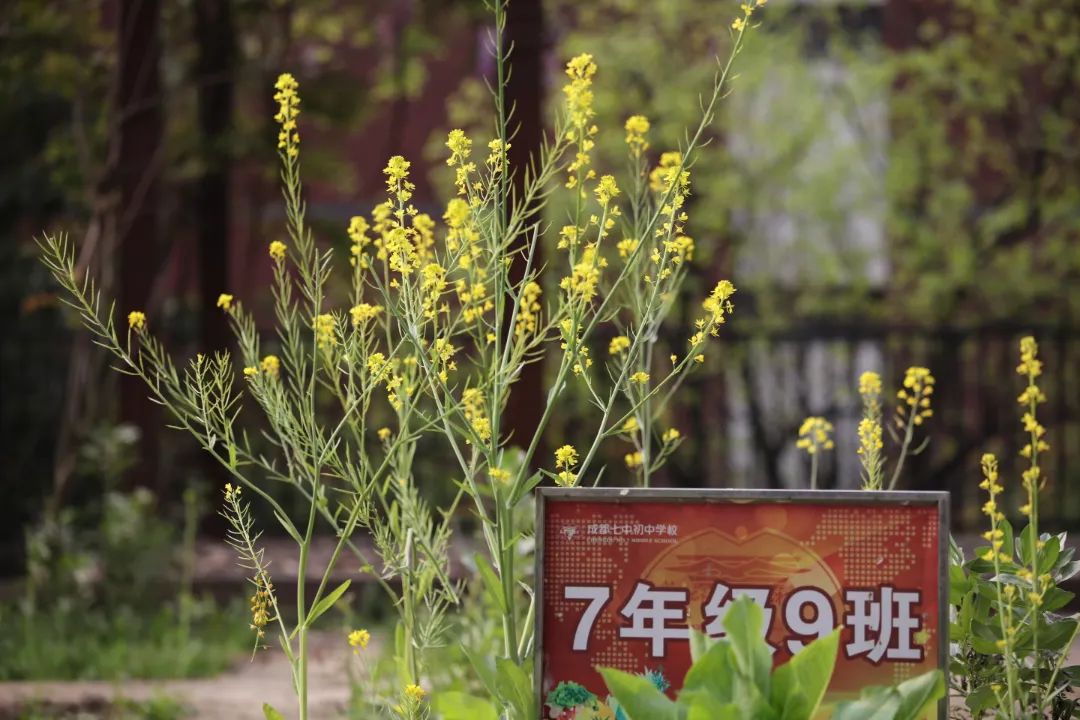 209A0513.JPG 图片