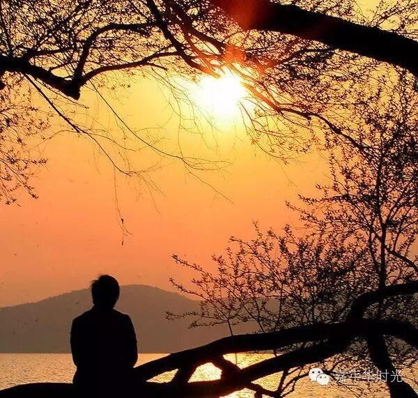 宋瑞林 一个人的黄昏