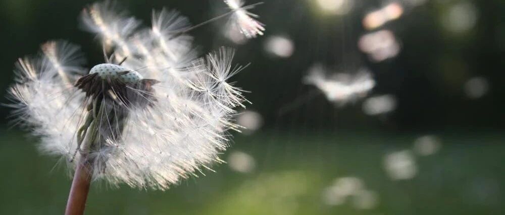 中国文学读出来有多美，声音好听不如在家录书赚钱！