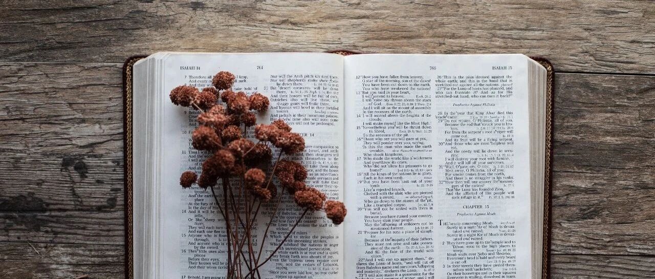 在家就能读书接单的方法！