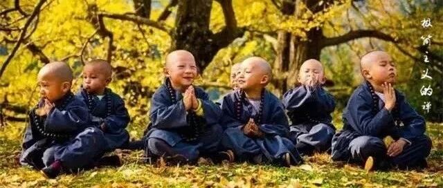 最美银杏村的千年寺庙里，藏着一群最萌的小和尚。