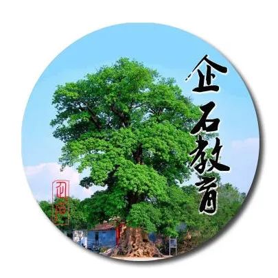 2024東莞中考分數(shù)線與錄取線_線中考錄取分數(shù)東莞2024級_線中考錄取分數(shù)東莞2024