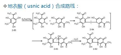 药物合成工艺路线的设计和选择PPT的图22