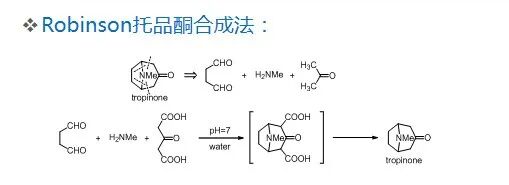 干货！了解药物合成工艺路线的设计和选择PPT的图4