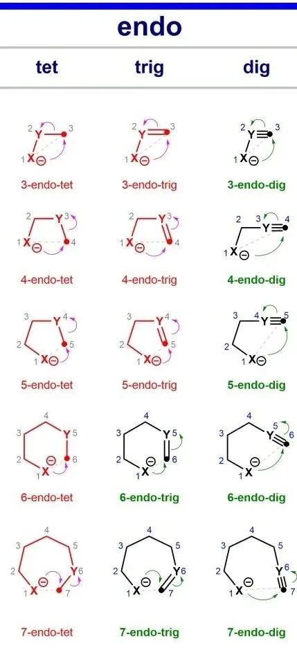 环化反应的endo和exo，你知道多少？的图2