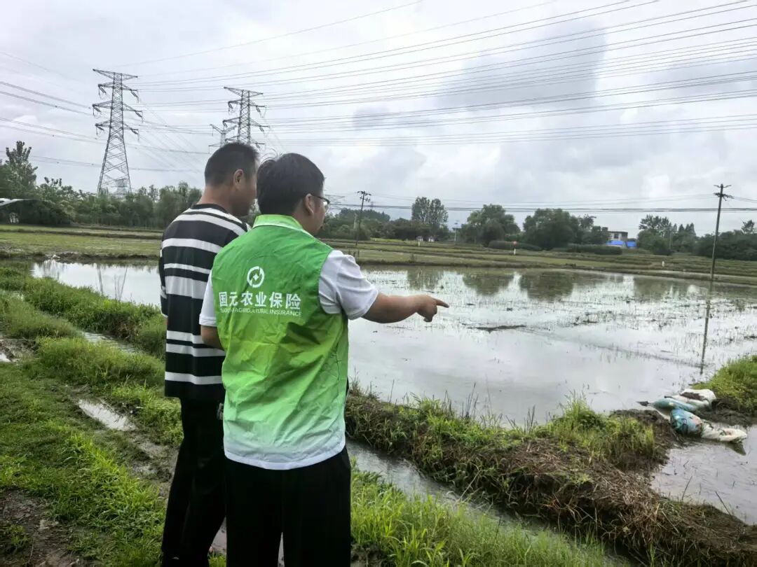 隐患摸排工作现场。国元保险安徽分公司供图