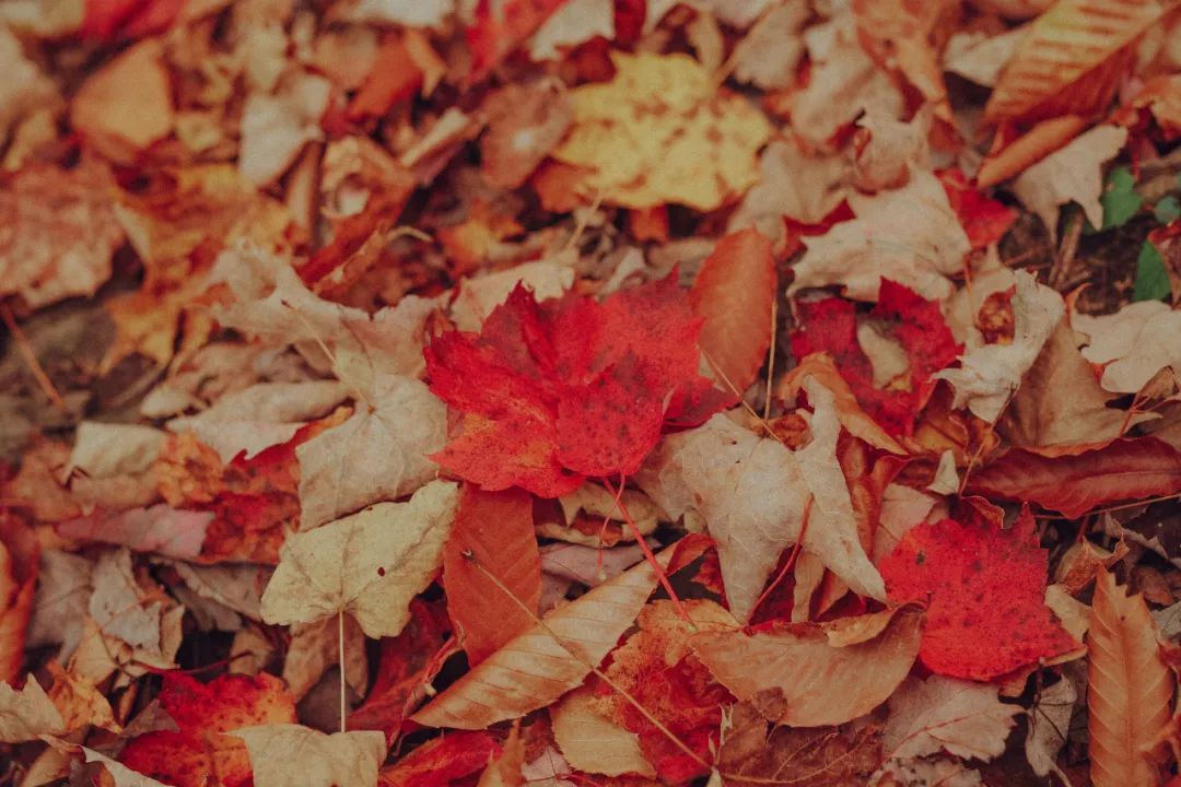 10月再见,11月你好!-微信头条网 10月再见,11月你好!