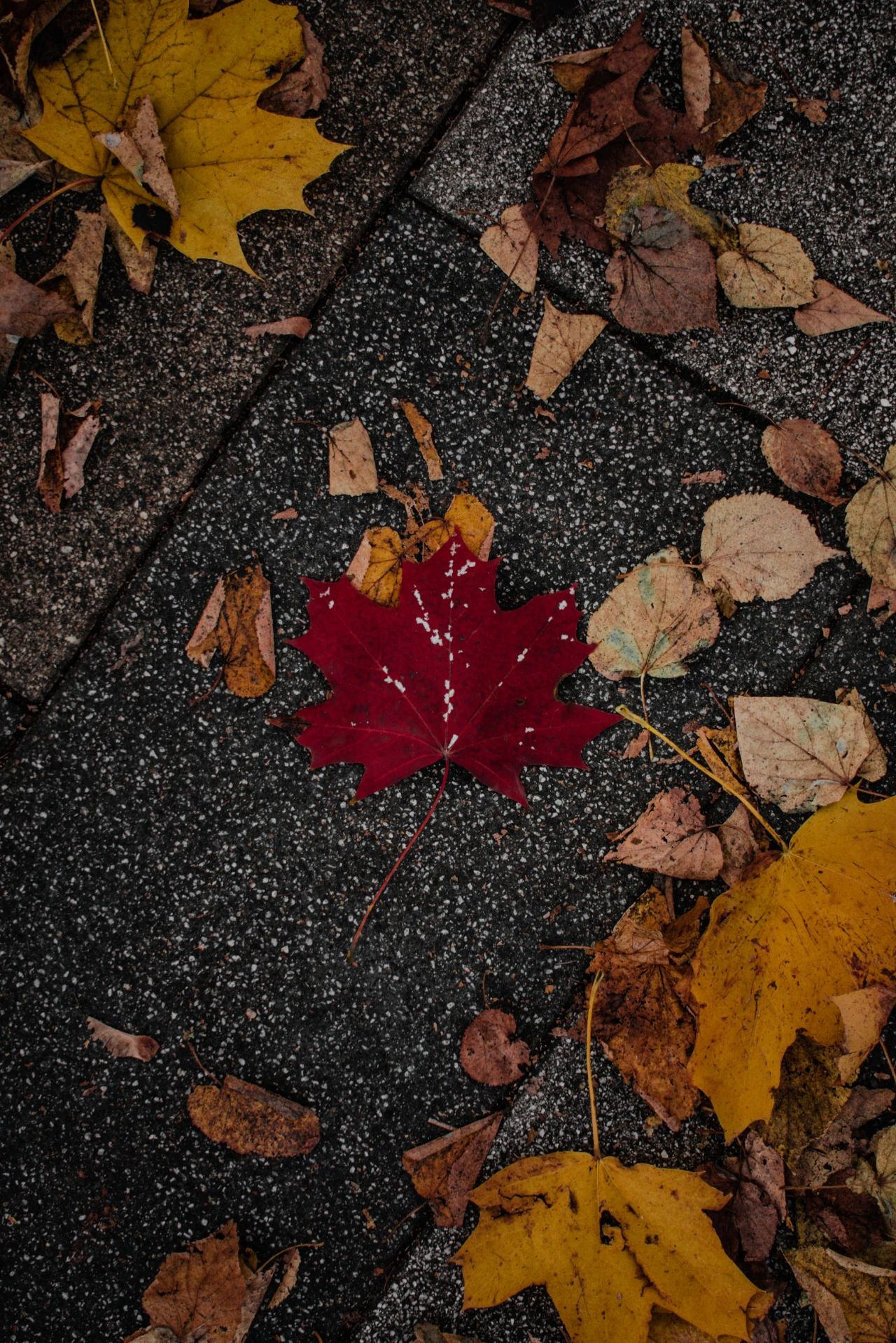 10月再见,11月你好!-微信头条网 10月再见,11月你好!
