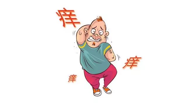 沙棘-如何改善冬季皮肤问题！