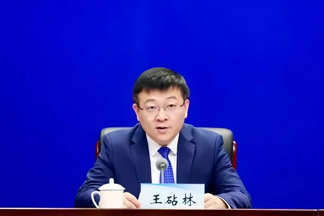 "80后"王砧林已任共青团河南省委书记2019年任杭州市滨江区委书记