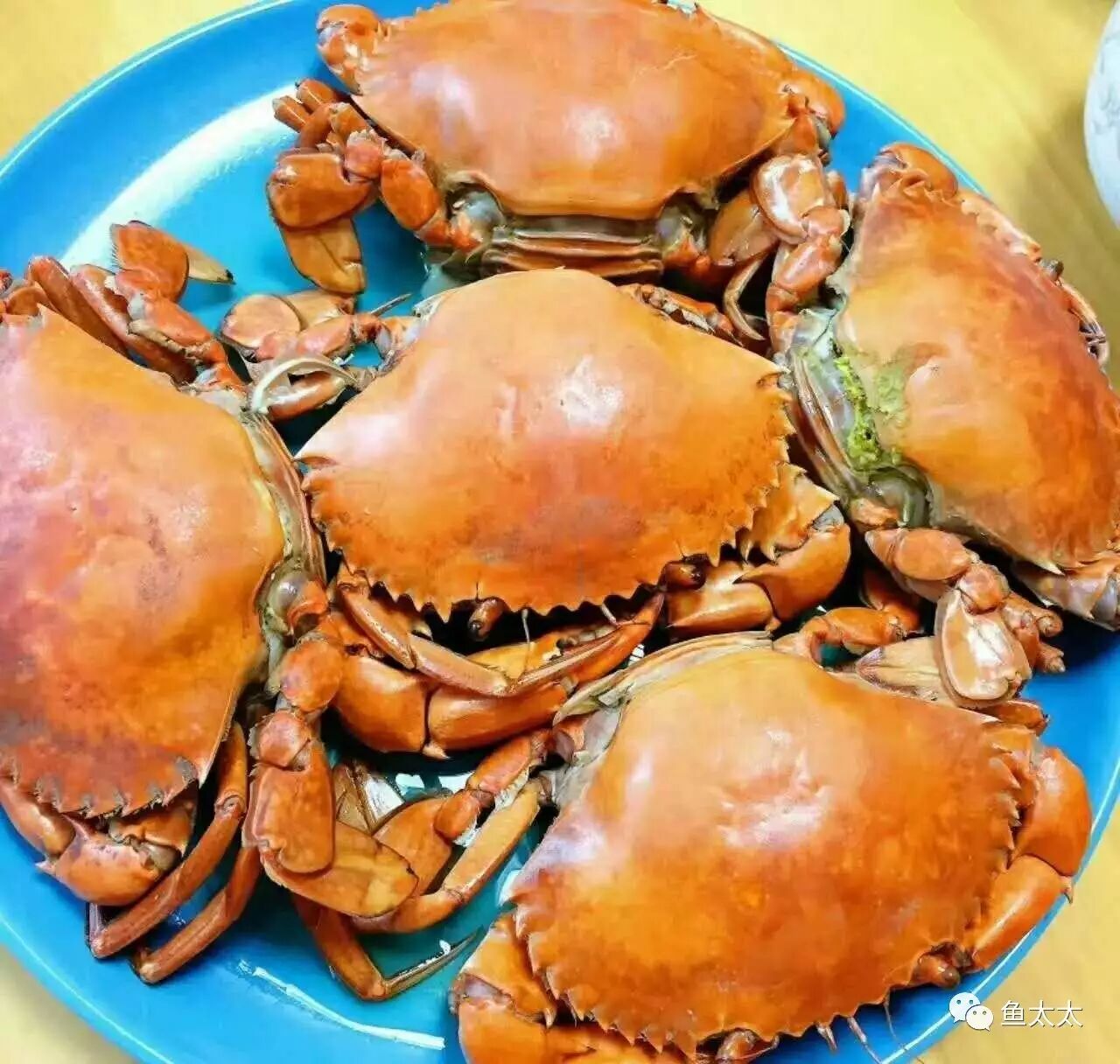 【探索】三门青蟹即将大量上市!吃货们准备尝鲜啦