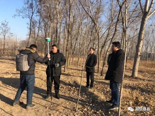 雄县人民政府——七间房乡顺利完成2019年春季植树造林占地征用工作