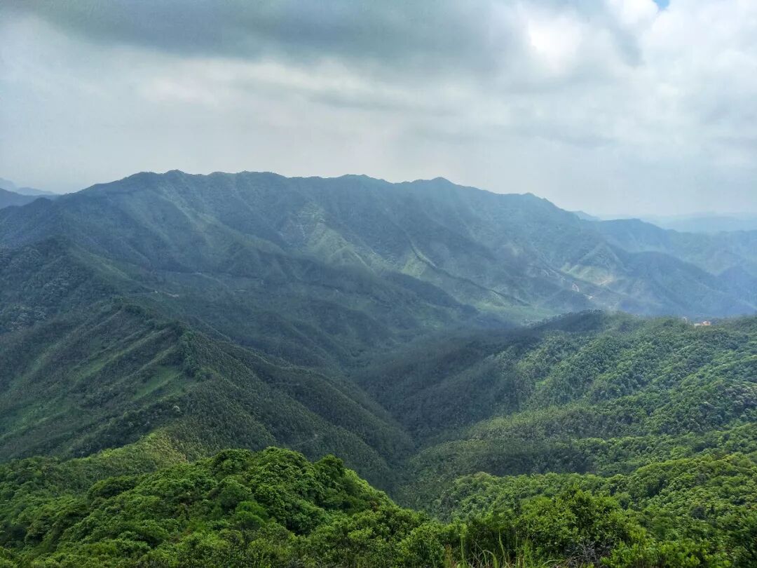 从名字上可以看得到皂幕山是一个草木茂密繁盛的天然胜地.