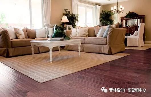 衛格爾官方網(wǎng)站_菲林格爾 木地板_圣菲林地板官網(wǎng)